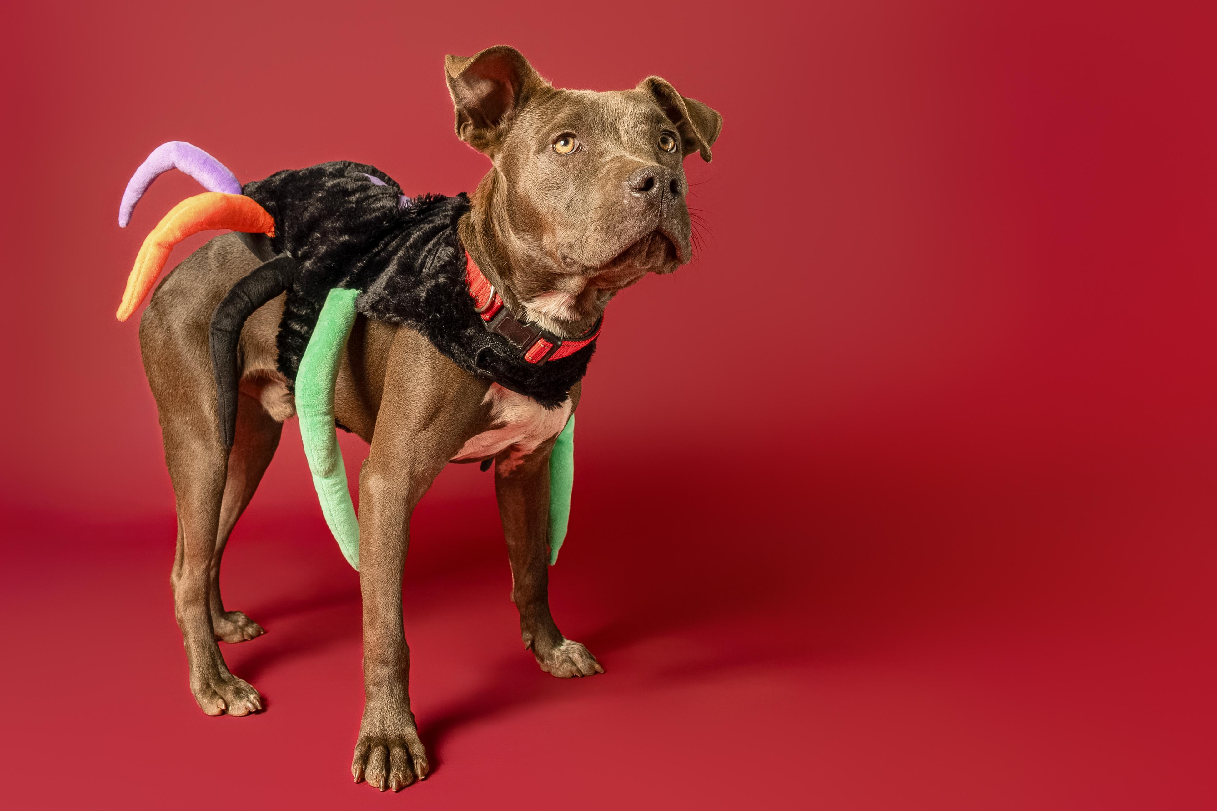 Redford — thumbnail 4