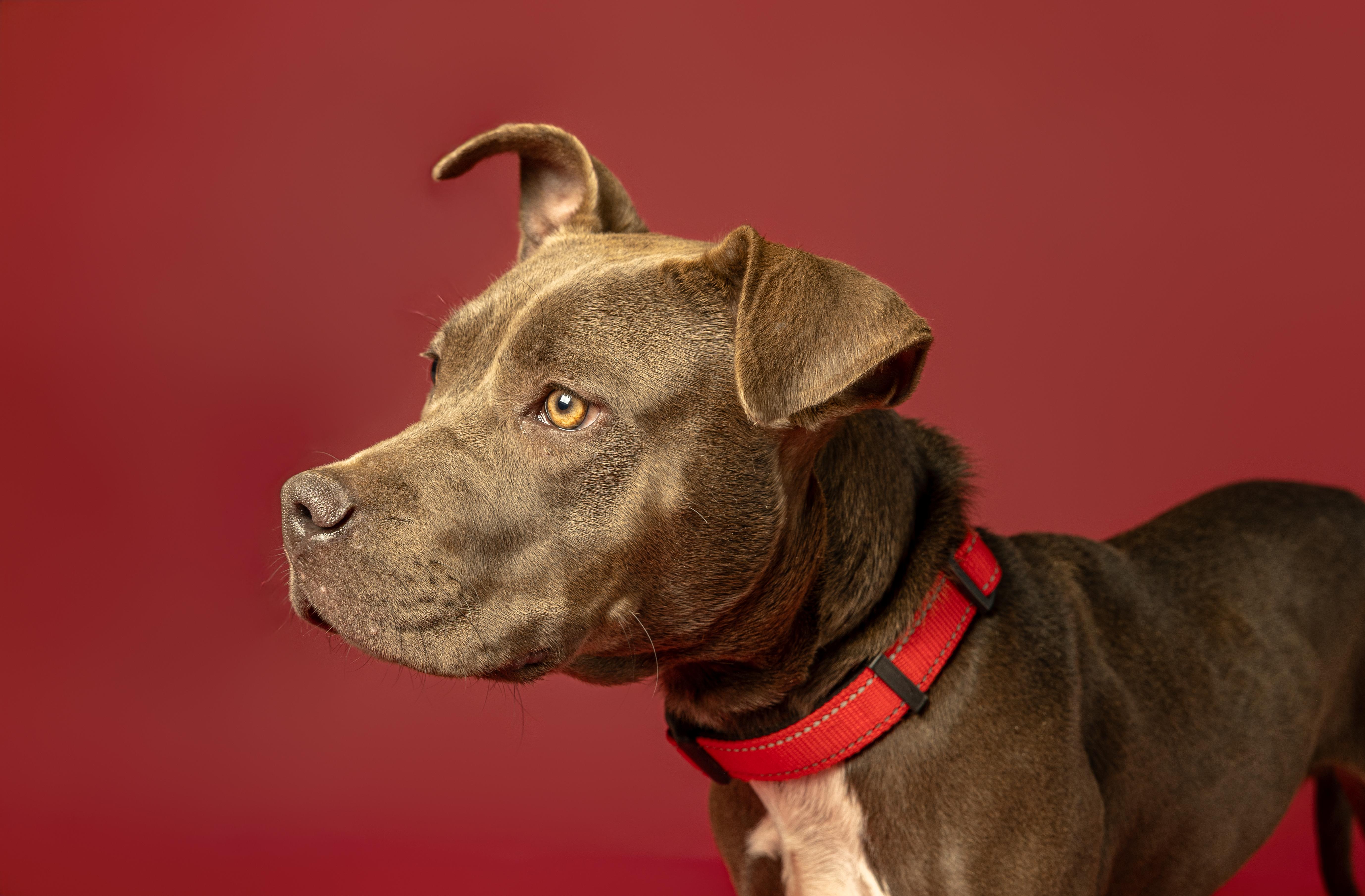 Redford — thumbnail 5