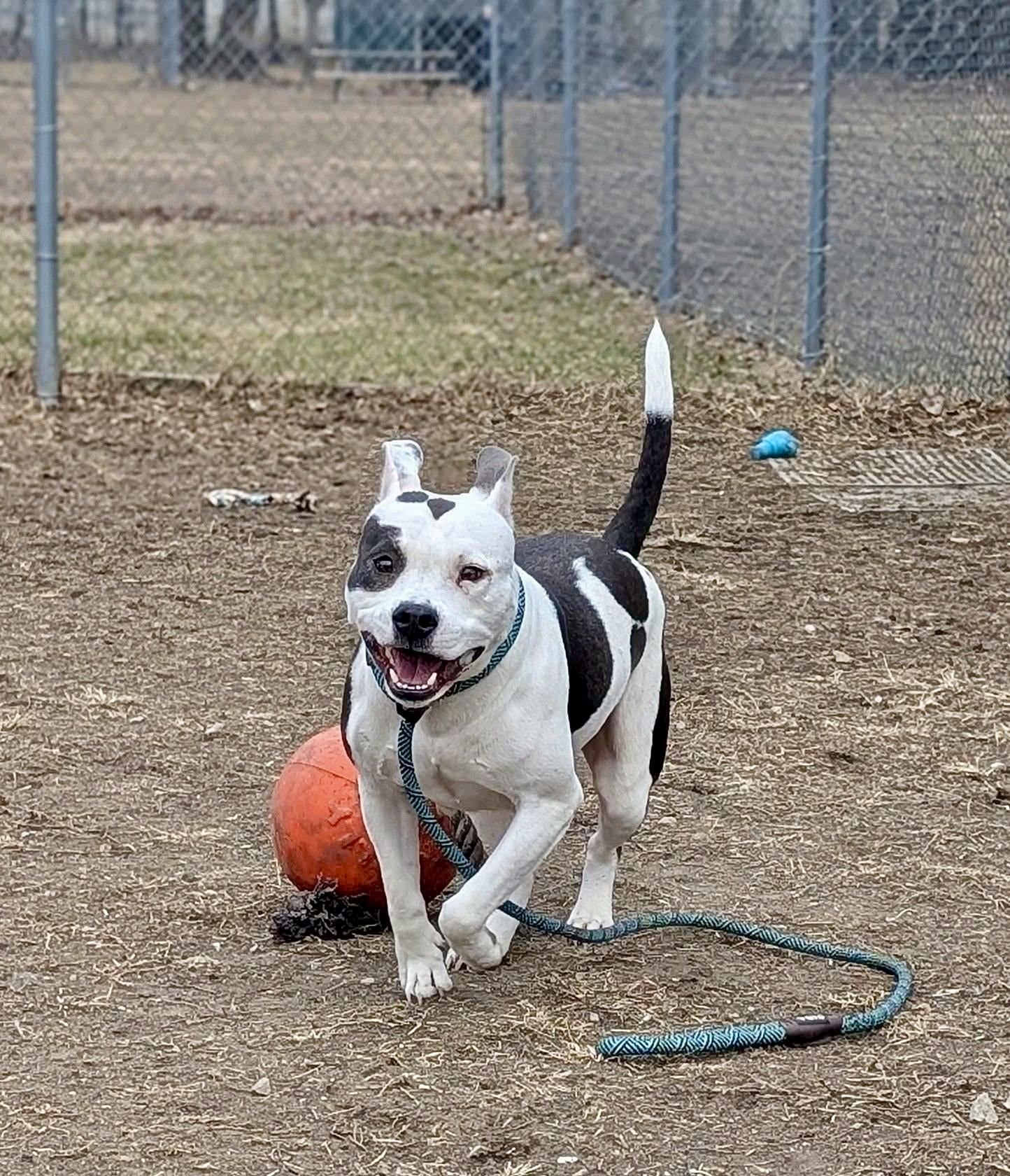 Mildred — thumbnail 2