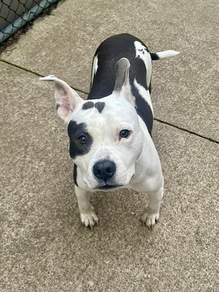 Mildred — thumbnail 4