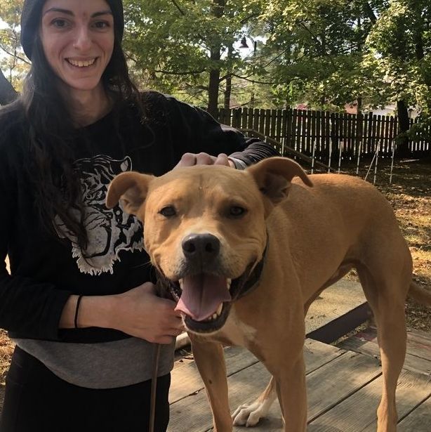 Cafe (foster-to-adopt), a Adoptable mixed breed in Rochester, NY image 4/12