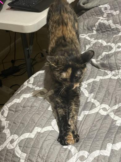 Sabrina — thumbnail 2