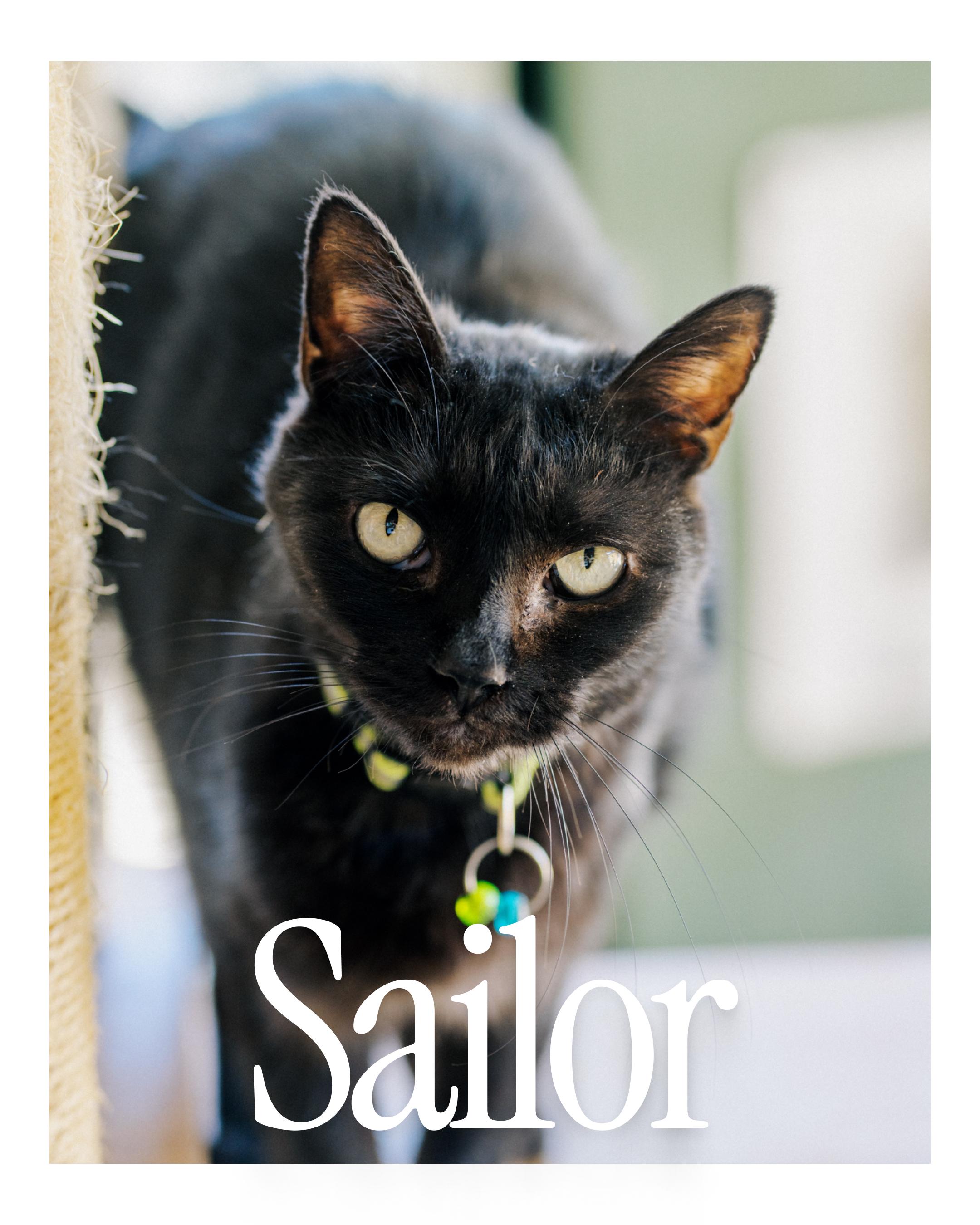Sailor photo 2
