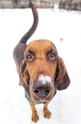 Tinkerbelle thumbnail 2