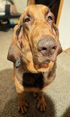 Tinkerbelle thumbnail 5