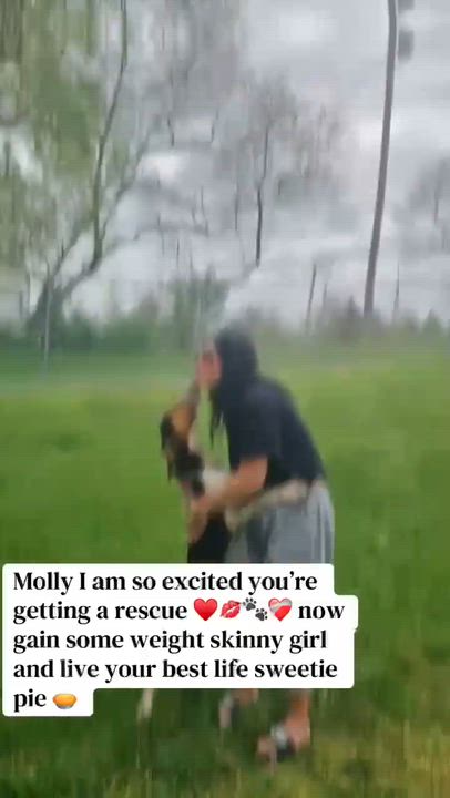 Enlarge Molly, a ADOPTABLE Treeing Walker Coonhound in Homer Glen, IL video 2/2