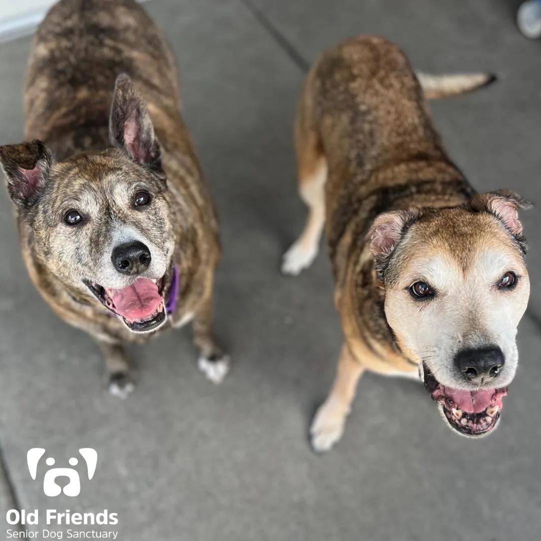 Katie & Cindy — thumbnail 2