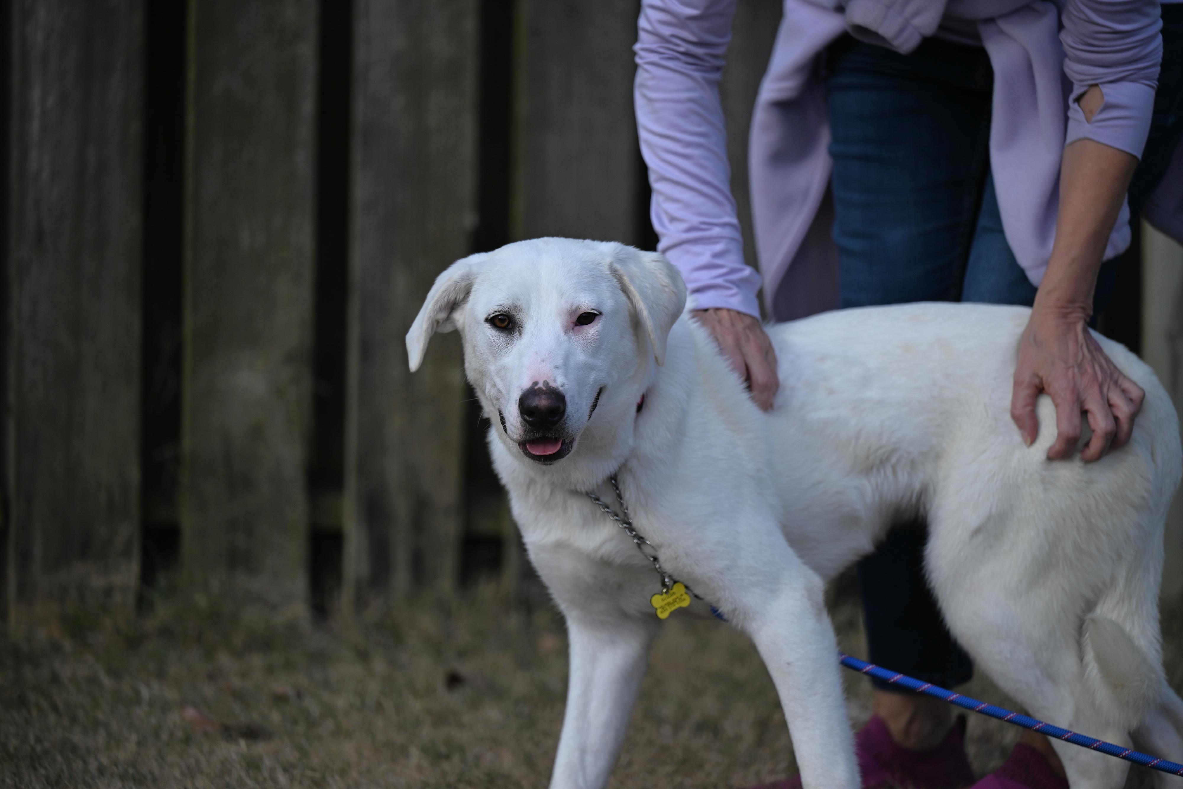 Marcie Jane thumbnail 3