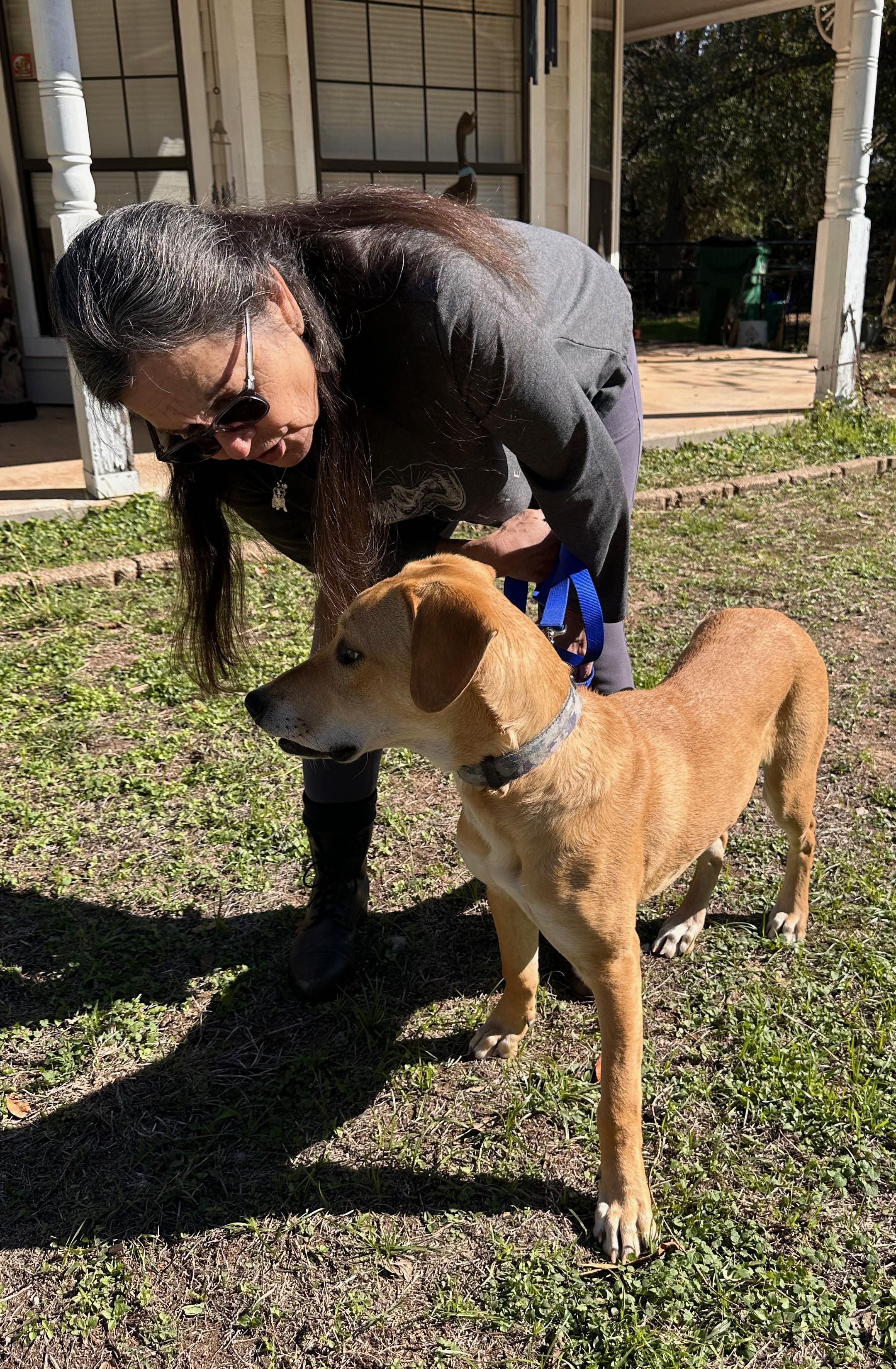 Enlarge Luke, a Adoptable mixed breed in Kyle, TX image 2/6