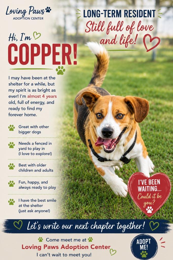 Enlarge Copper, a Adoptable mixed breed in Crocker, MO image 6/6