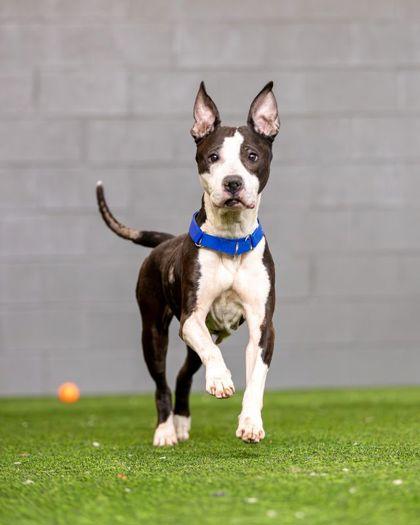 Alabama — thumbnail 2