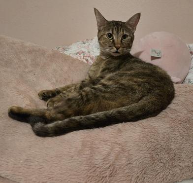 Honey — thumbnail 5