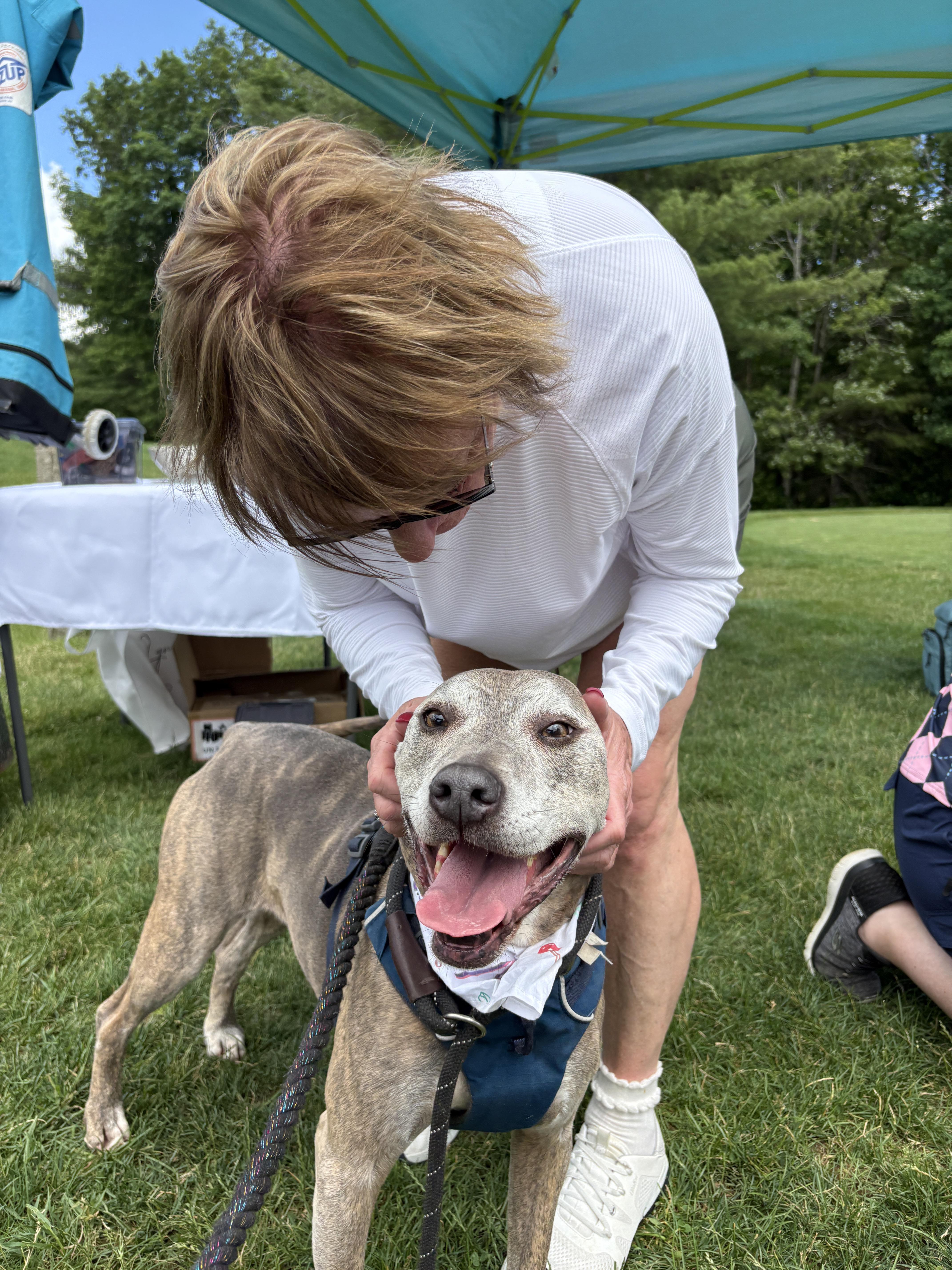 Enlarge Minni, a ADOPTABLE mixed breed in New Boston, NH image 2/6