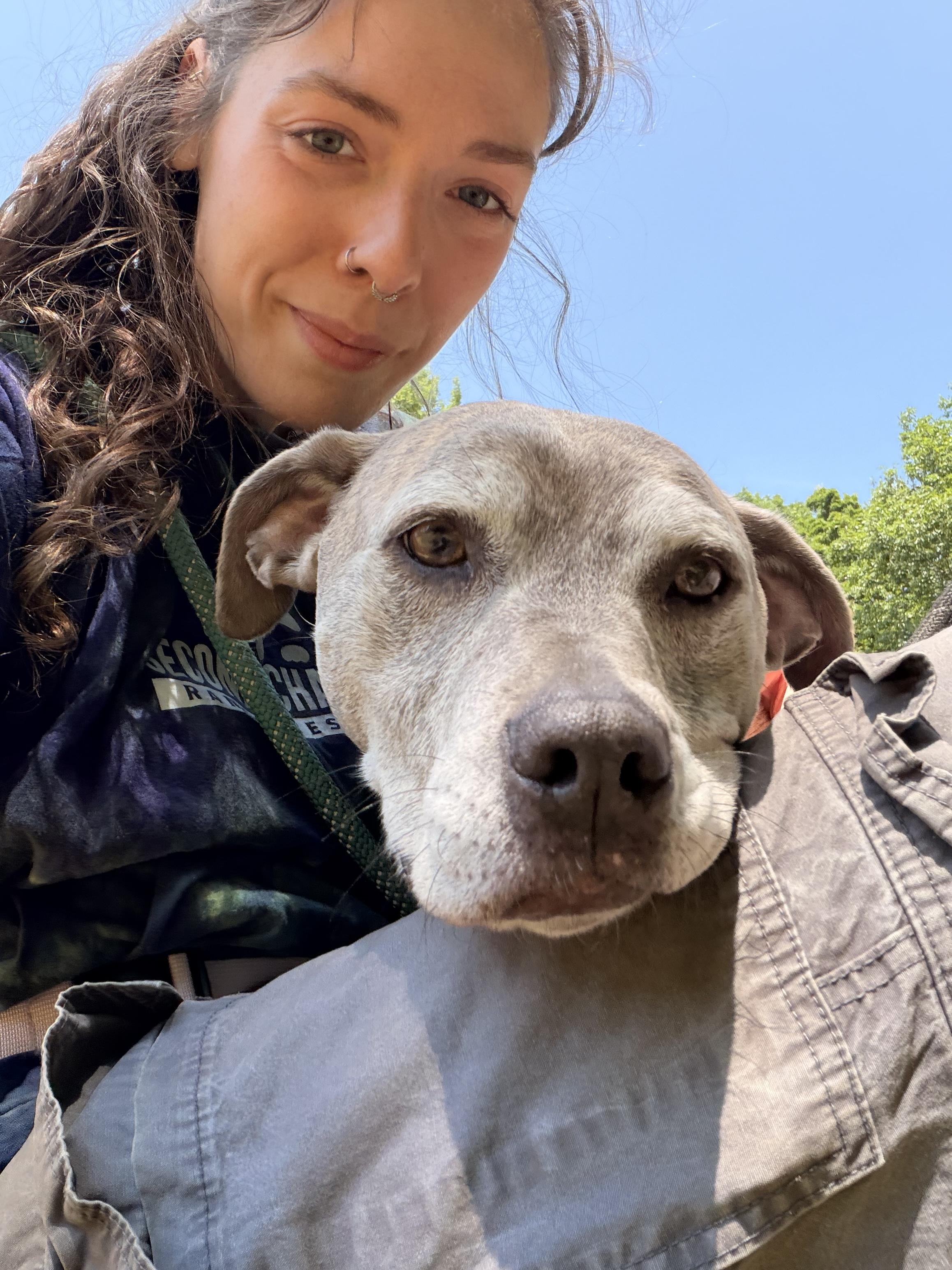 Enlarge Minni, a ADOPTABLE mixed breed in New Boston, NH image 5/6