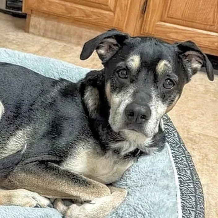 Luna Lovegood (20260120-02)