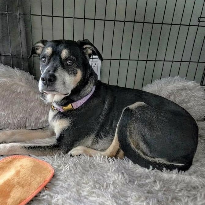 Luna Lovegood (20260120-02) — thumbnail 2