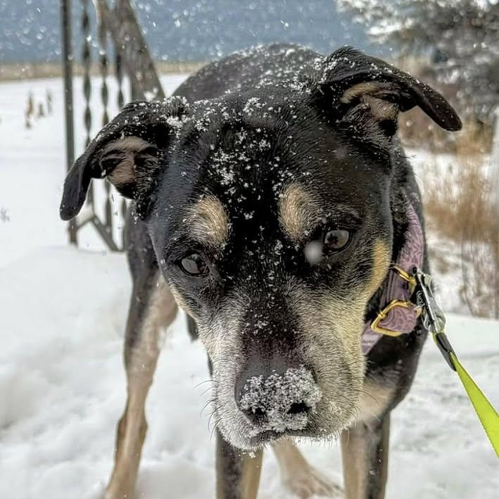 Luna Lovegood (20260120-02) — thumbnail 4