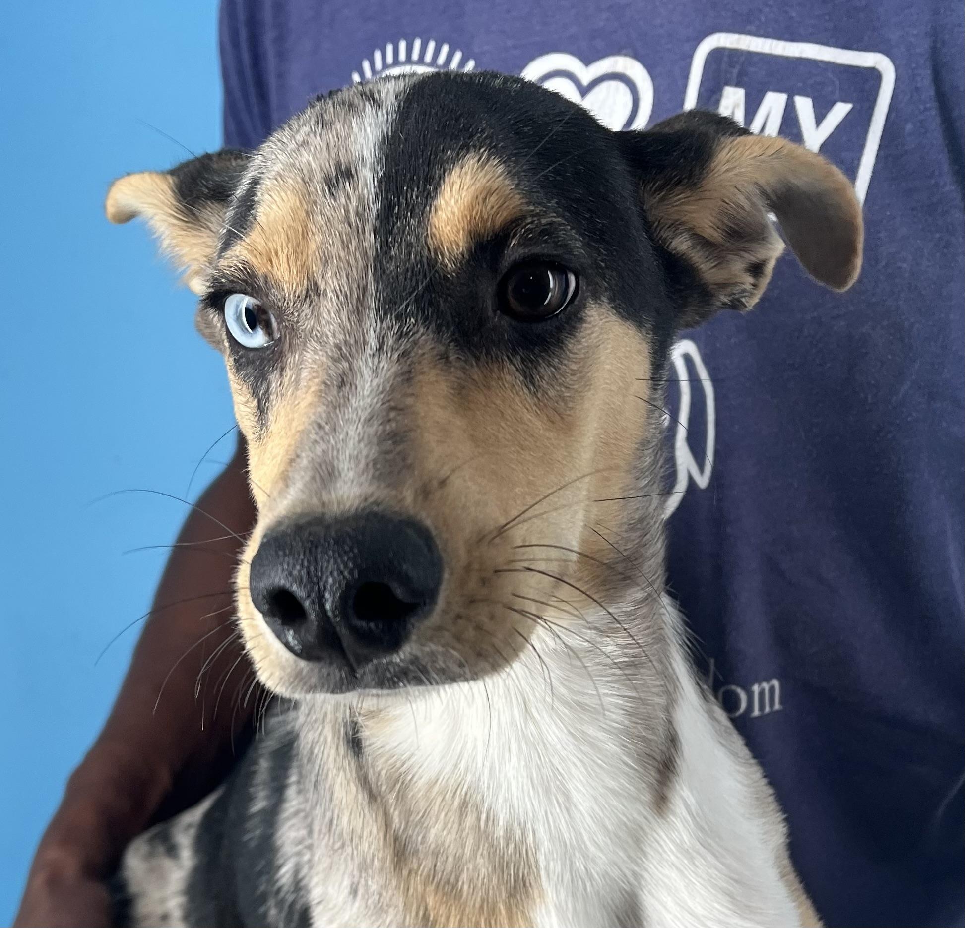 Kevin - Local Dec 19-21