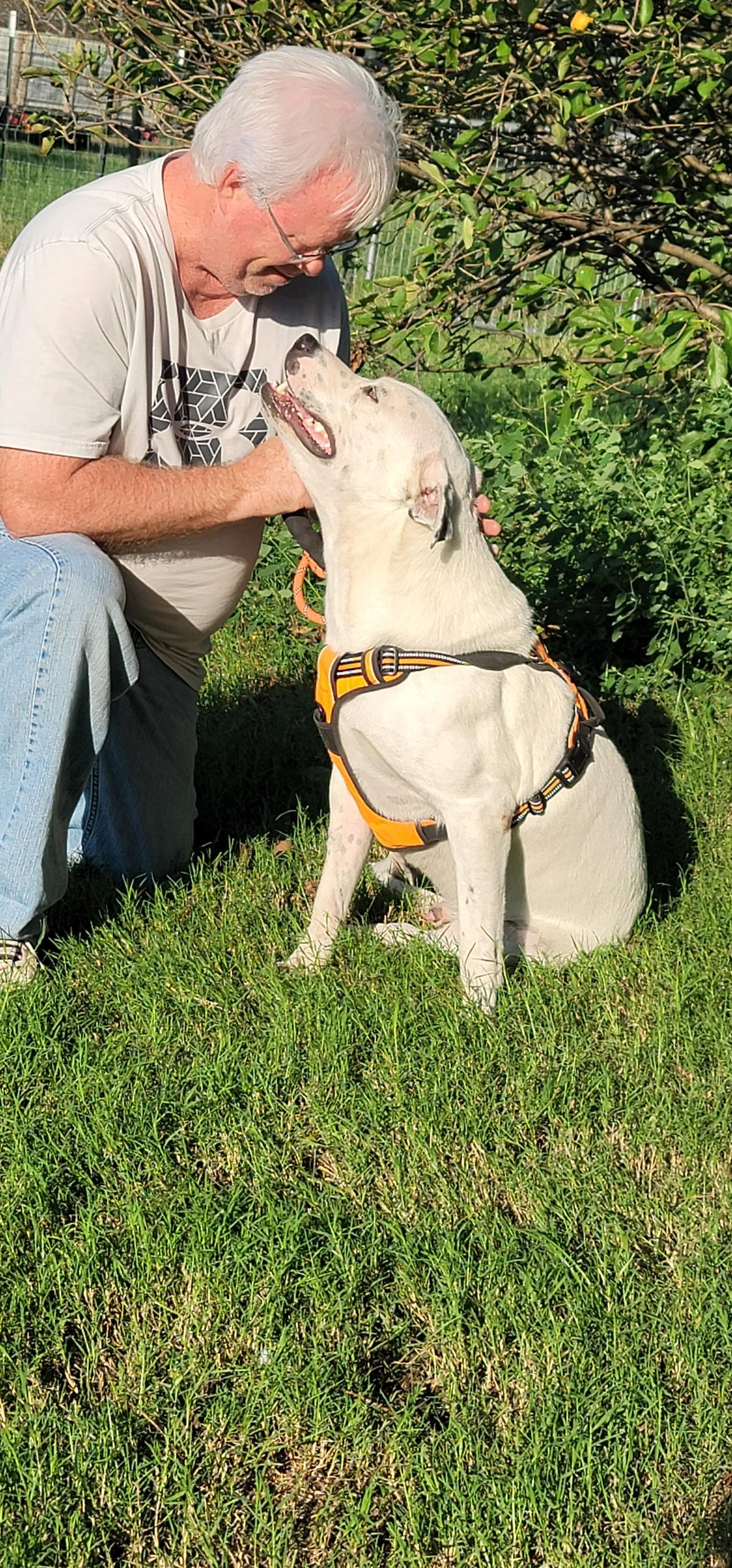Enlarge Ghost, a Adoptable mixed breed in White Settlement, TX image 7/7