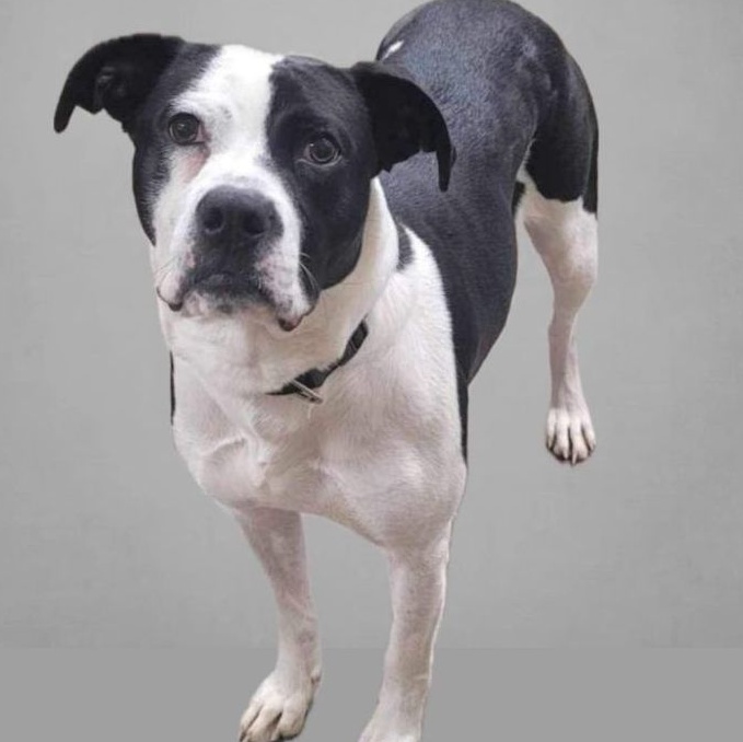 Lyla - Fee partially sponsored
