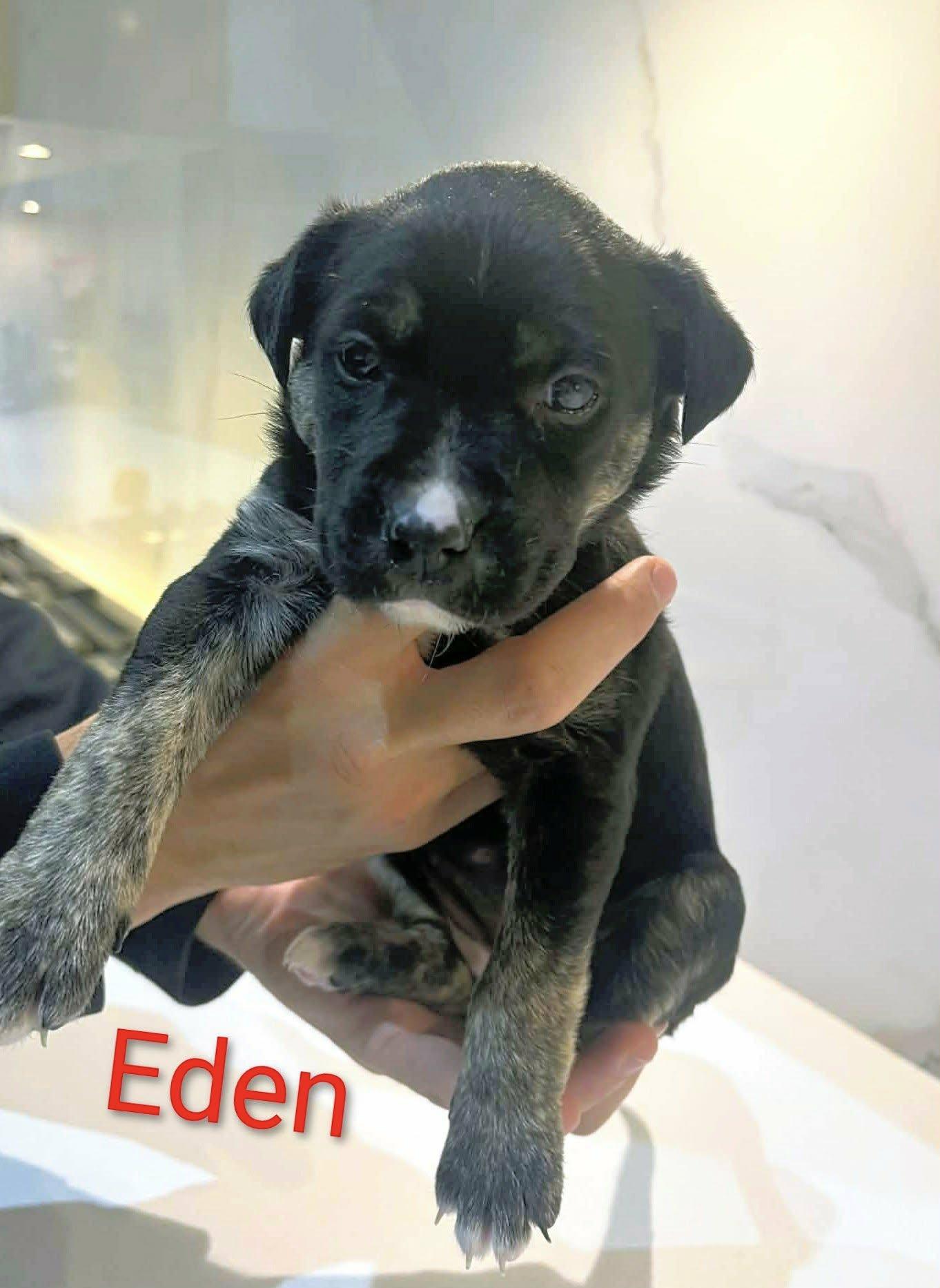 Eden (20251222-05) — thumbnail 2
