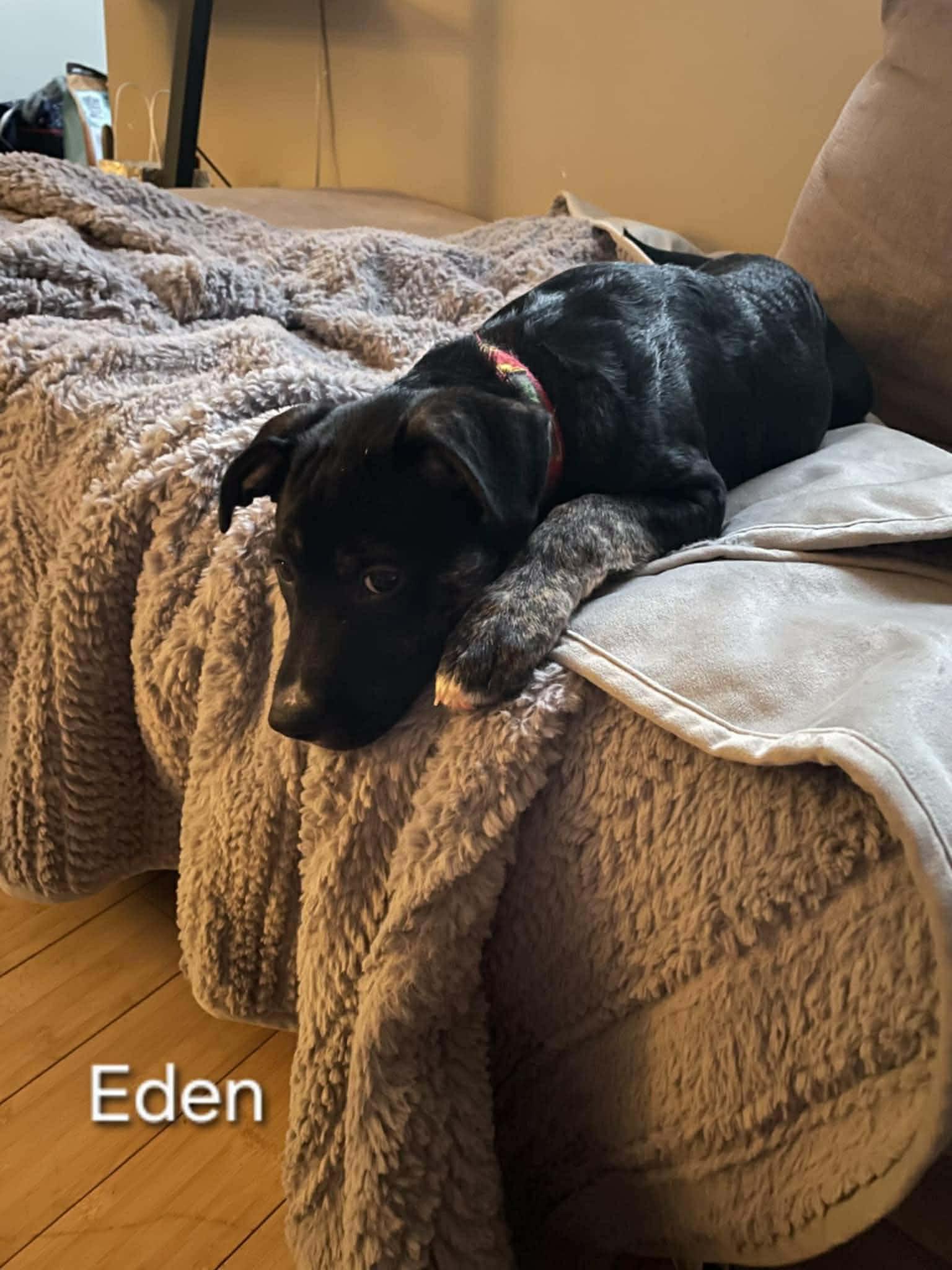 Eden (20251222-05) — thumbnail 3