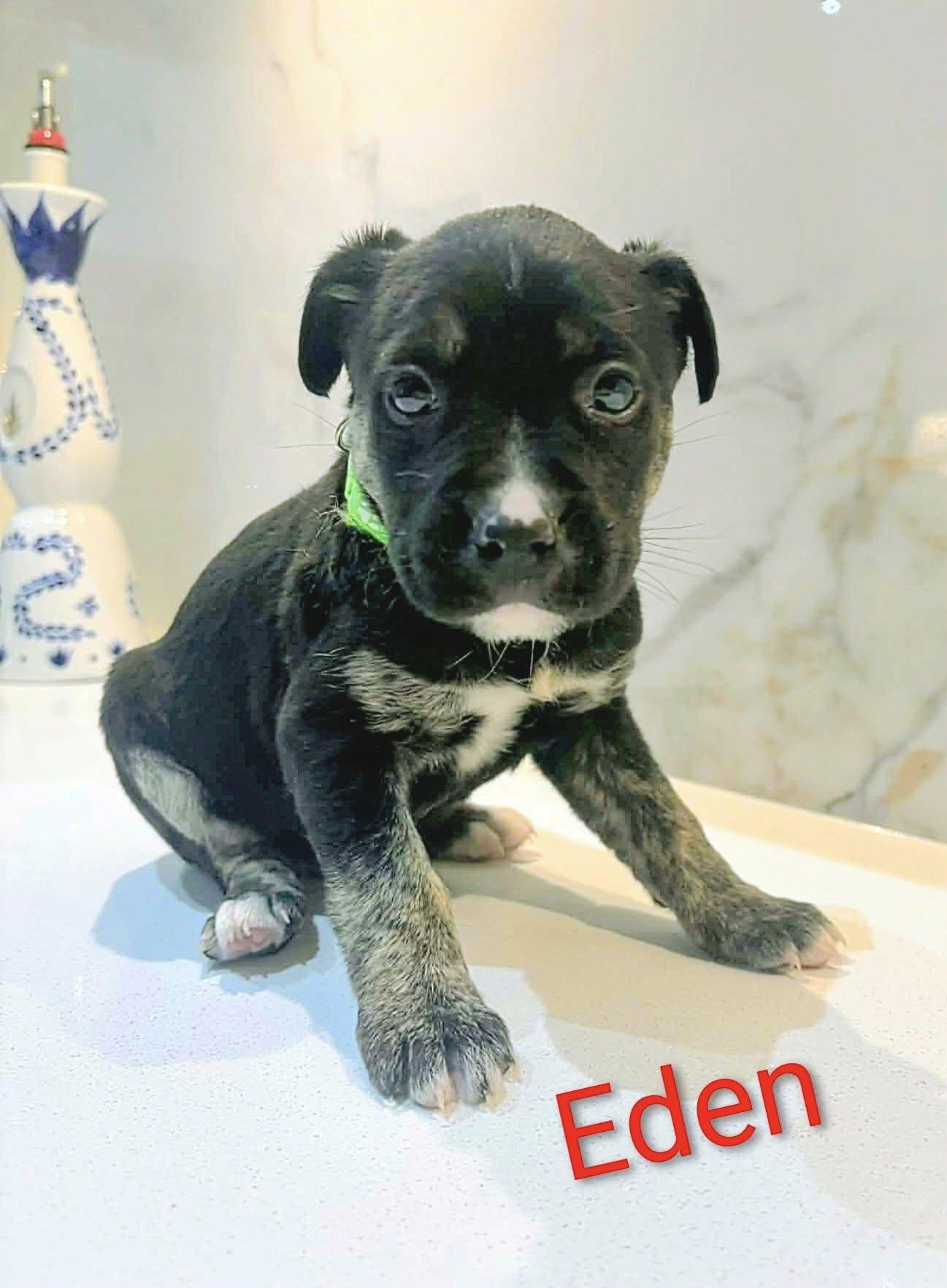 Eden (20251222-05) — thumbnail 4