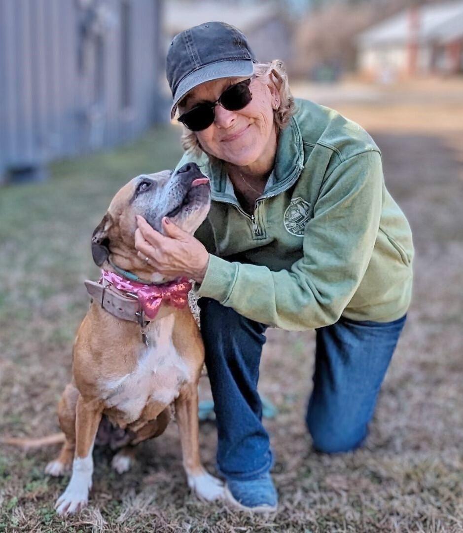 Nana, Senior Female Pit Bull Terrier