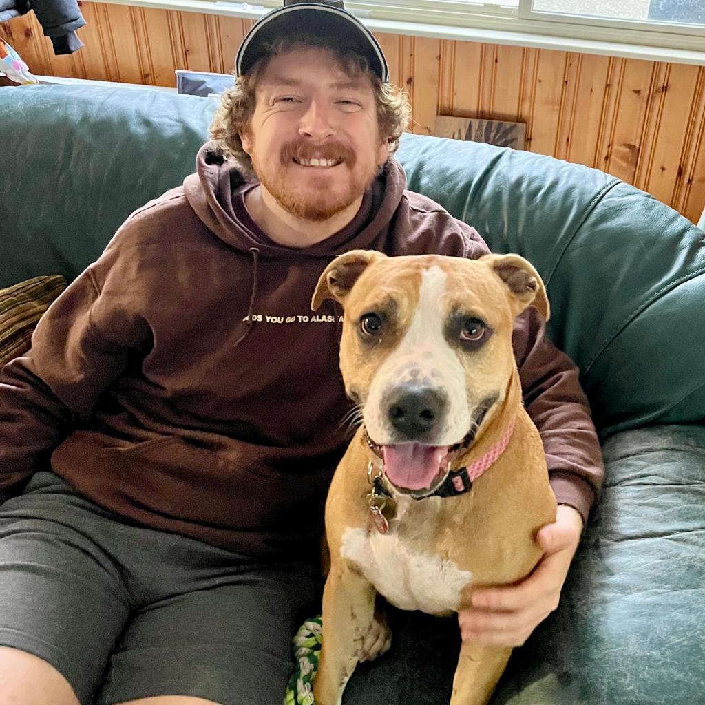 Harley, a Adoptable mixed breed in Hackett, AR image 2/6