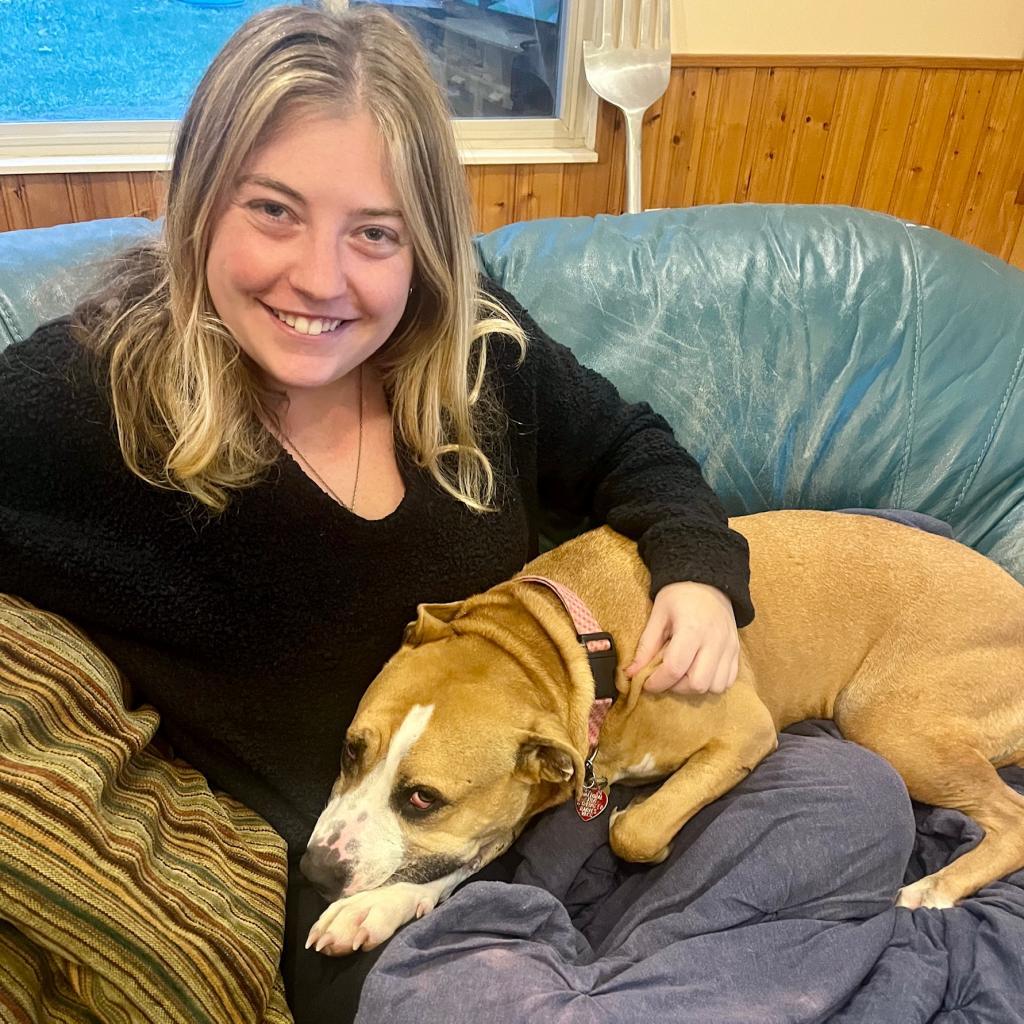 Harley, a Adoptable mixed breed in Hackett, AR image 6/6