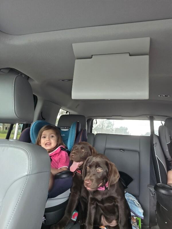 Mocha Coffee — thumbnail 2