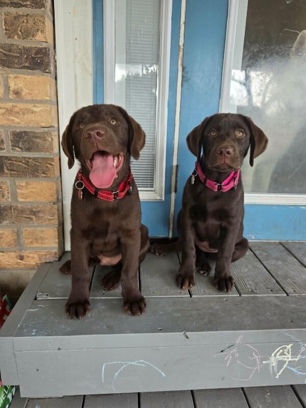 Mocha Coffee — thumbnail 4