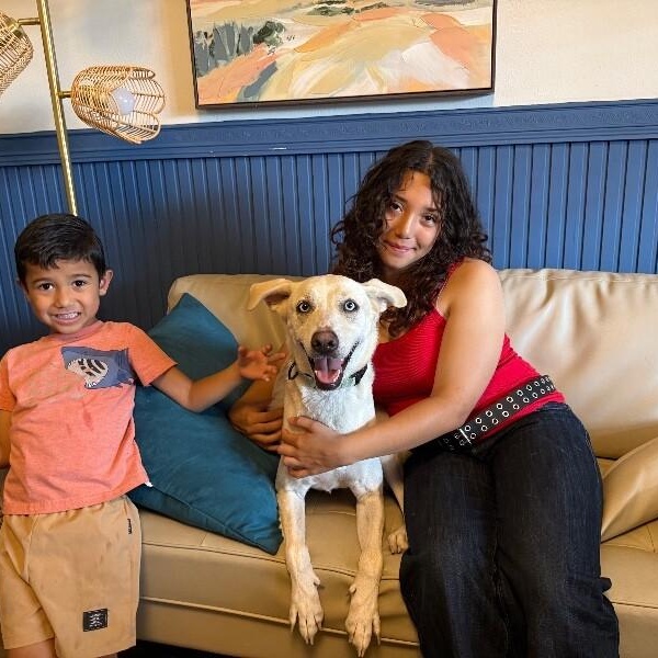 Enlarge Rory right on time tv watching family girl, a Adoptable mixed breed in Friendswood, TX image 4/6