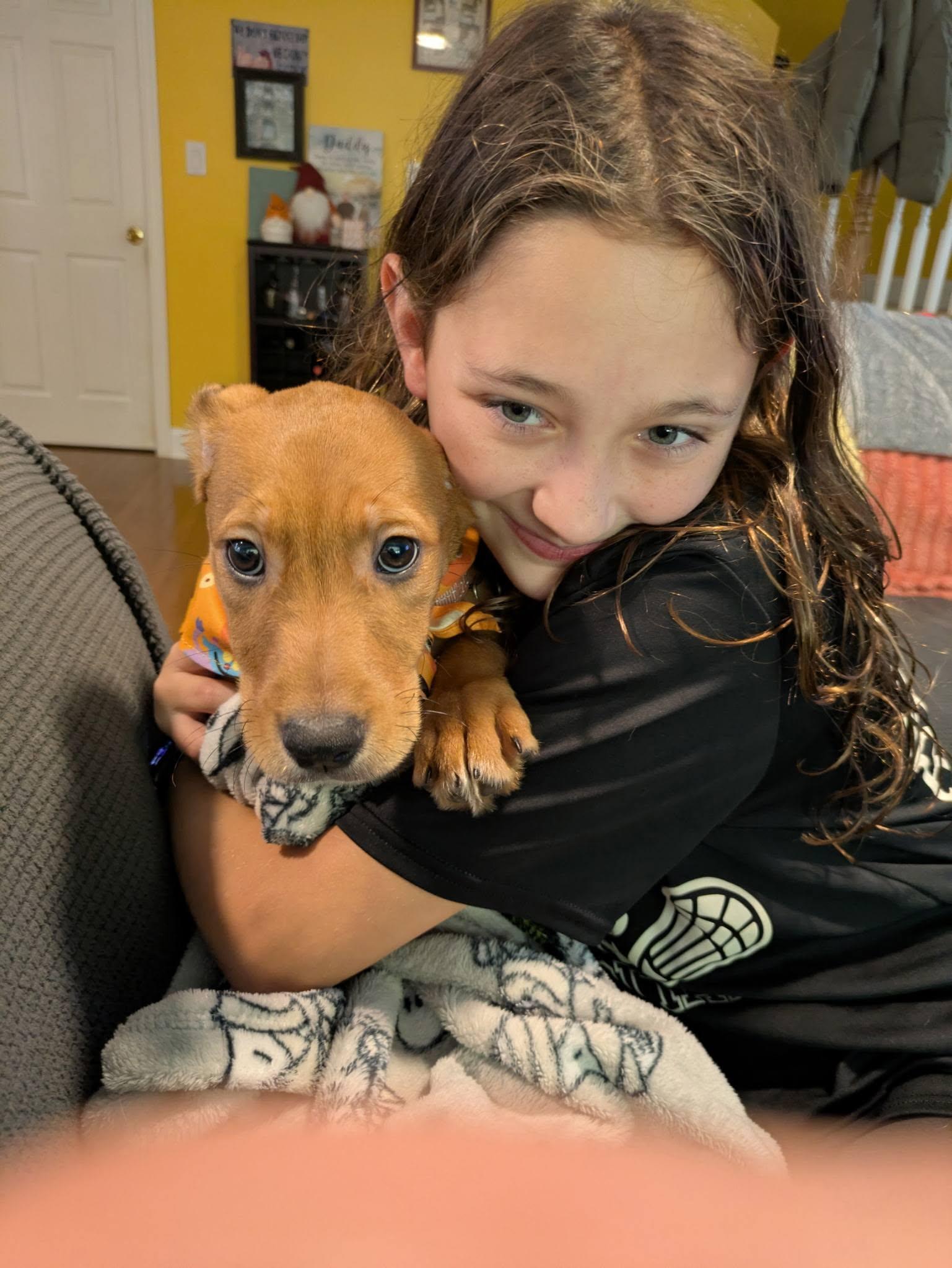 Enlarge Celia (adoption pending), a Adoptable mixed breed in Albany, NY image 3/6