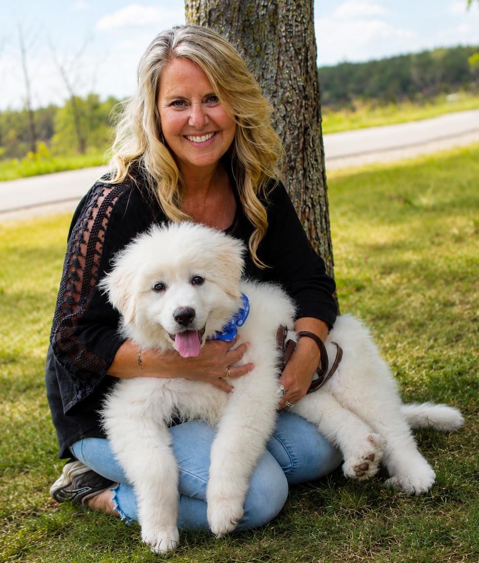 Sailor, a ADOPTABLE Great Pyrenees in Cheboygan, MI image 3/6