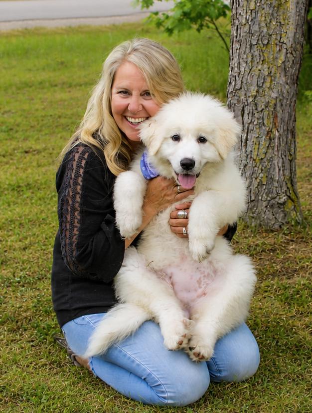 Sailor, a ADOPTABLE Great Pyrenees in Cheboygan, MI image 6/6