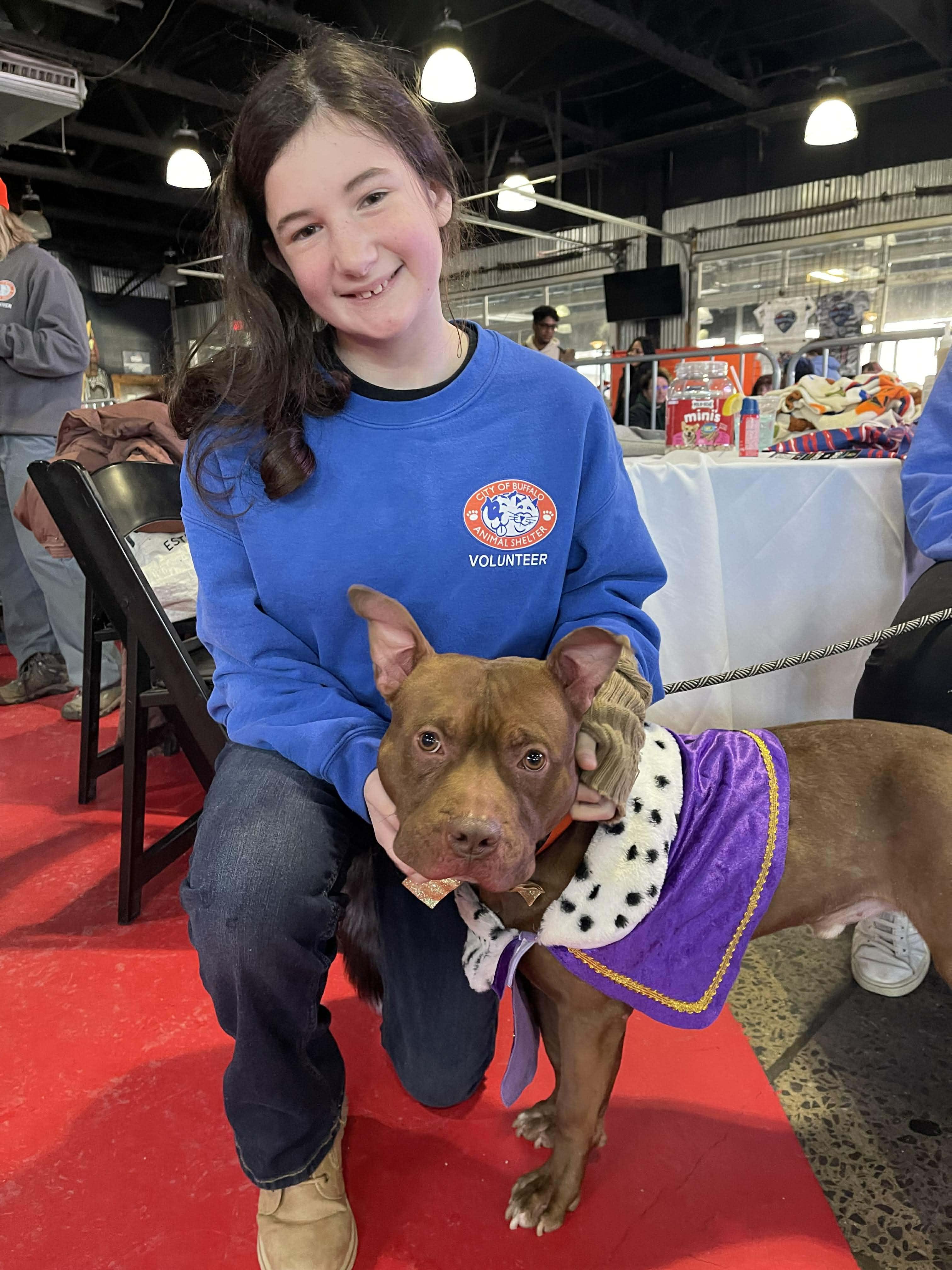 Enlarge Prince, a Adoptable mixed breed in Buffalo, NY image 6/6