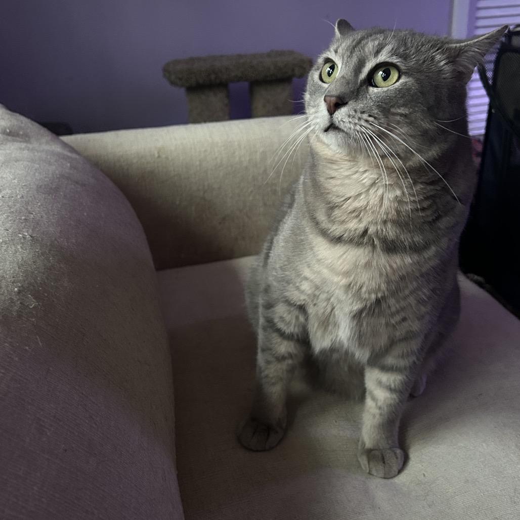 Sugar 2 — thumbnail 2