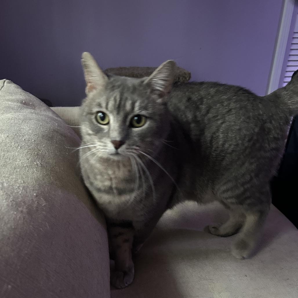 Sugar 2 — thumbnail 3