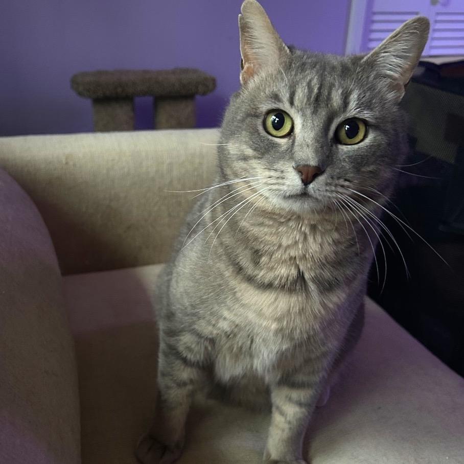 Sugar 2 — thumbnail 4