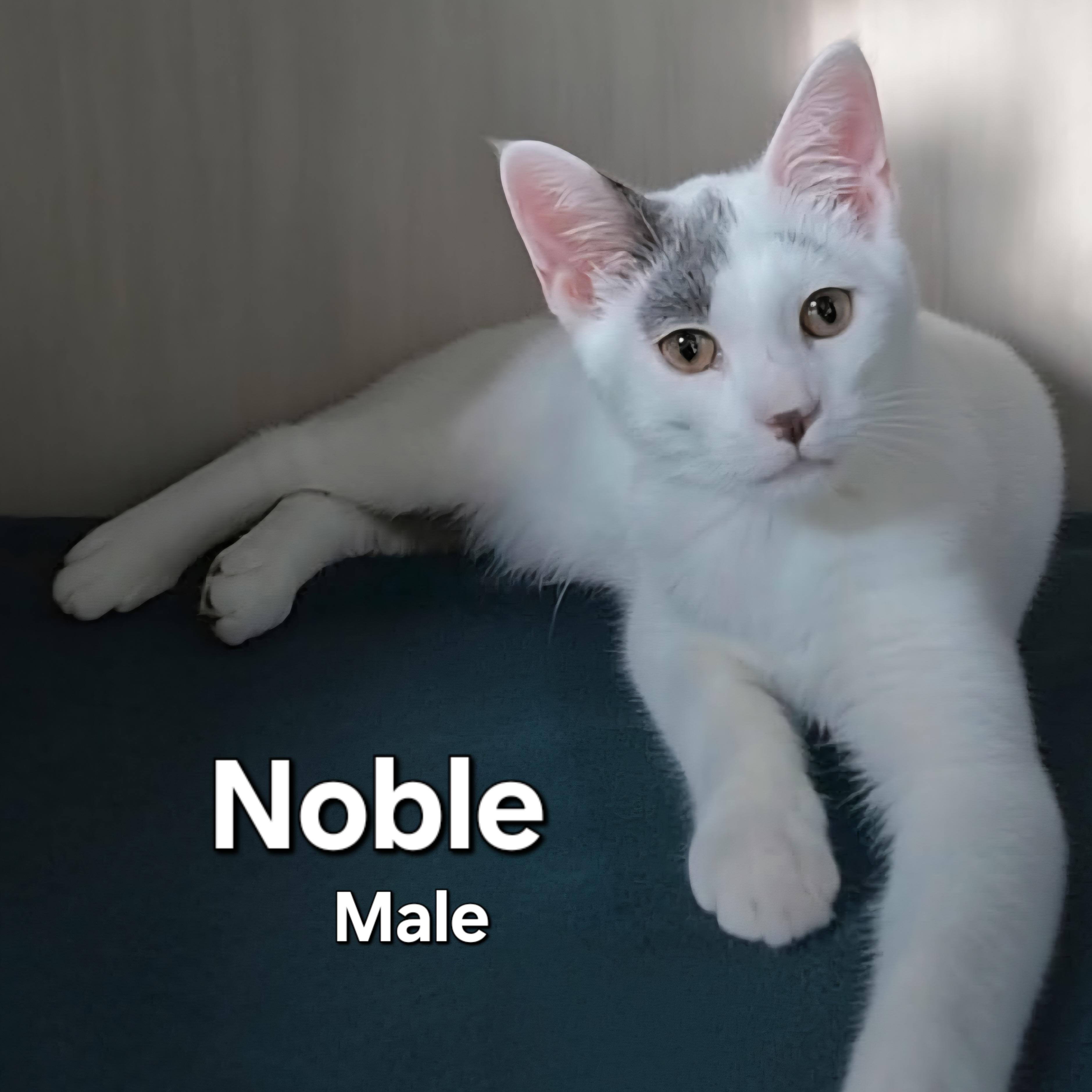Noble