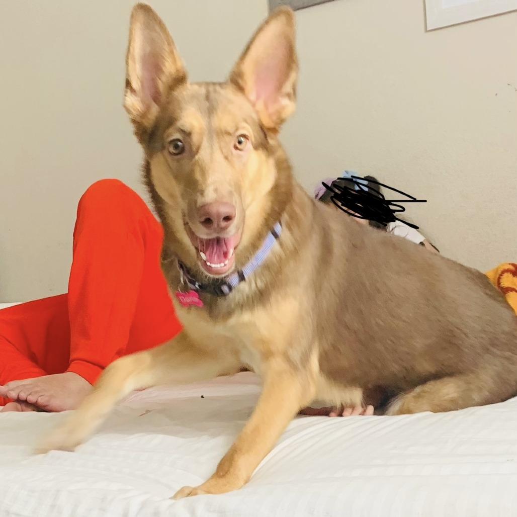 Darla — thumbnail 6