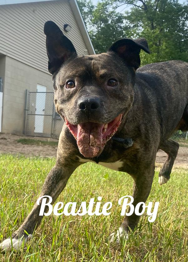Beastie Boy