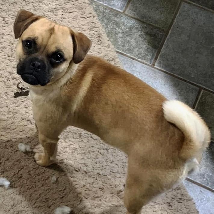 Otis