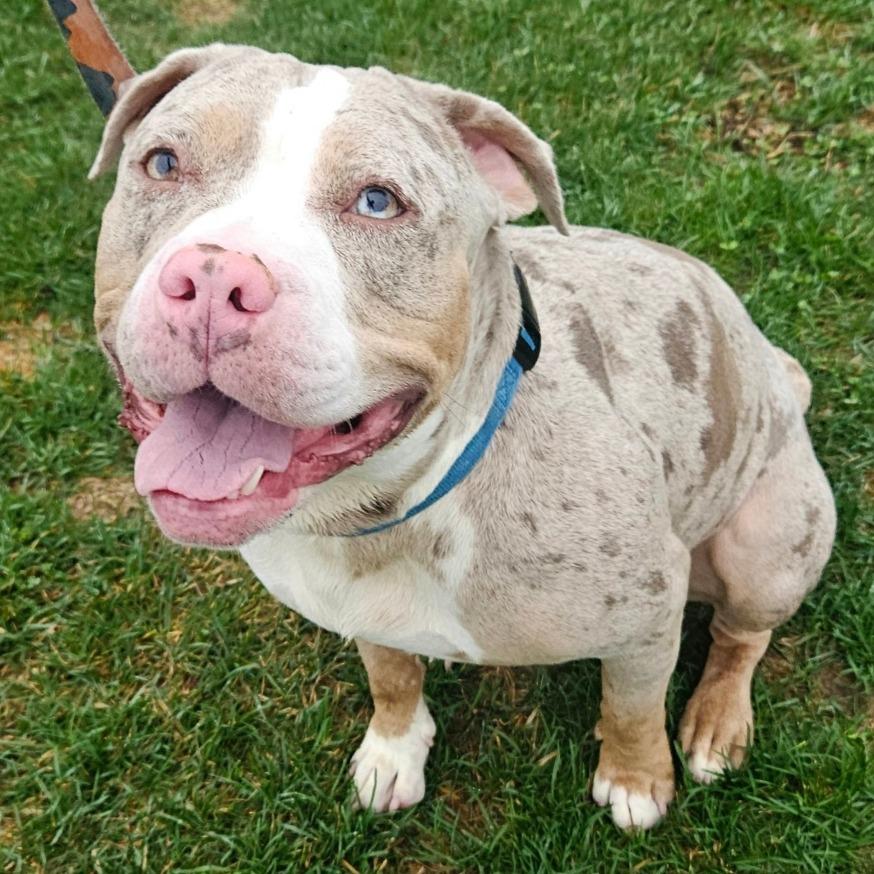 Icey — thumbnail 2