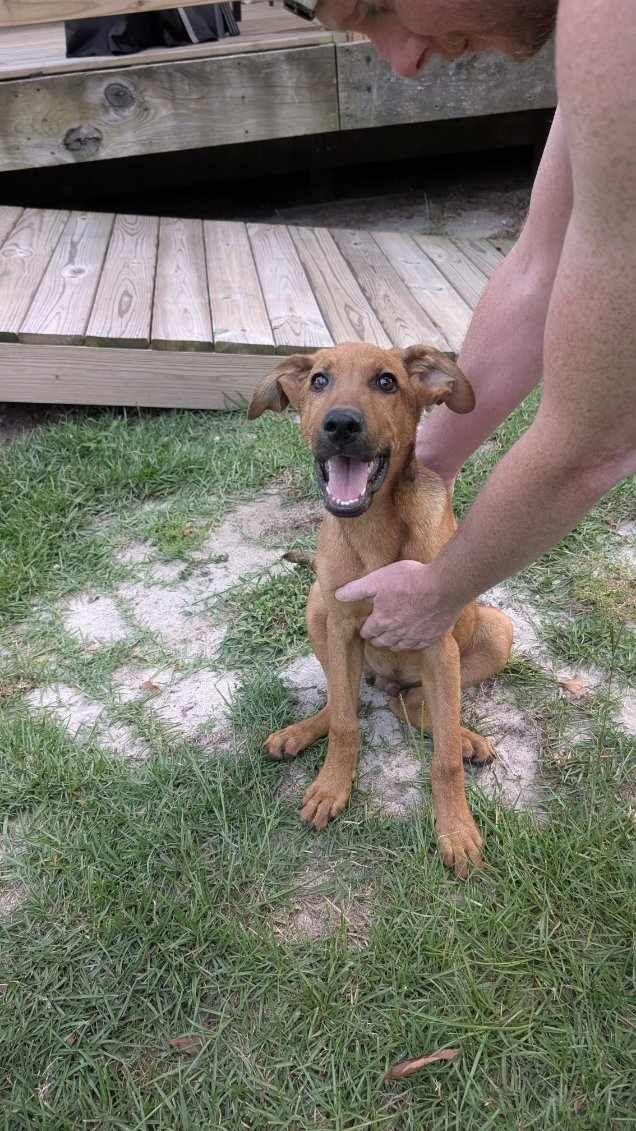 Duke