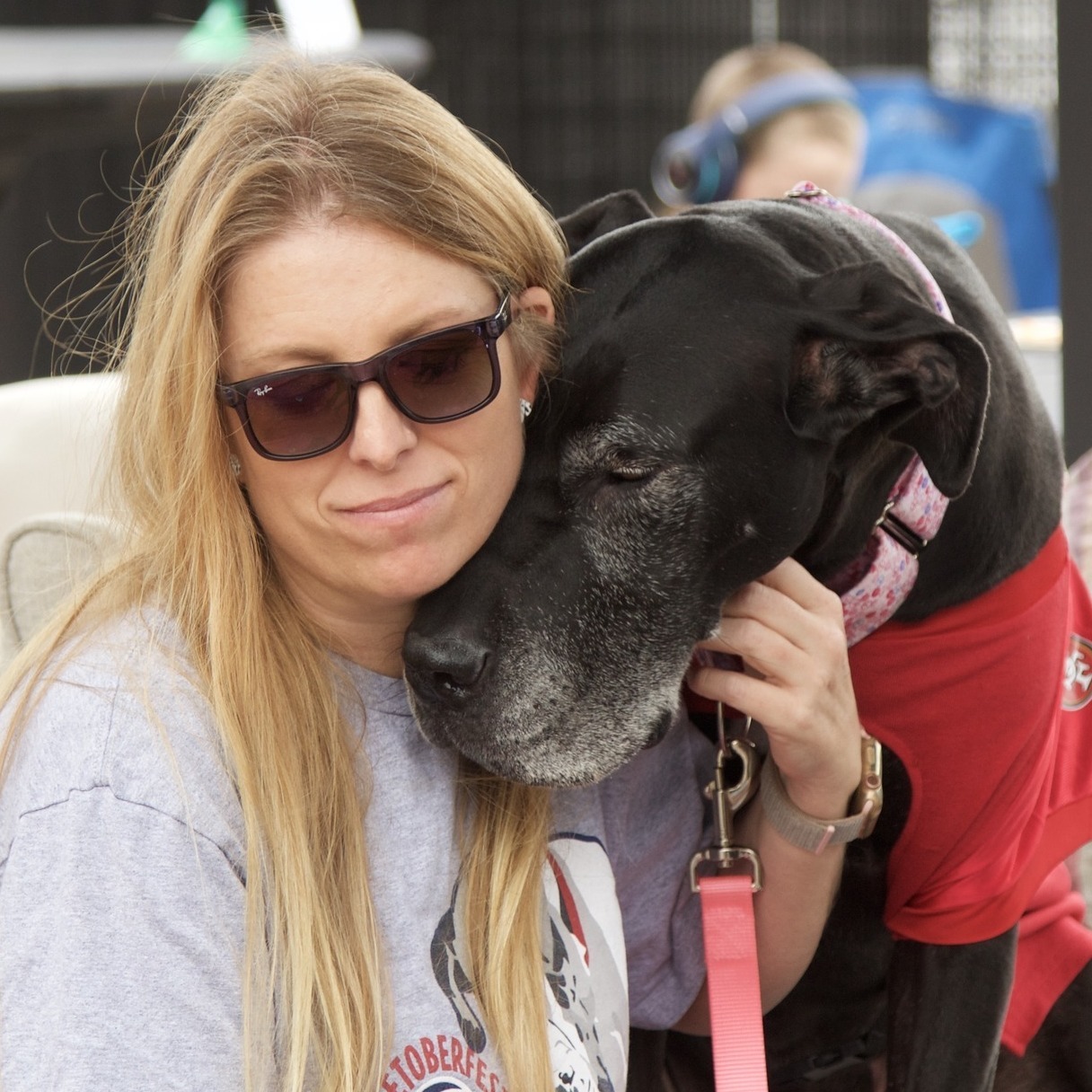 Jersey, a Adoptable Great Dane in Pensacola, FL image 3/6