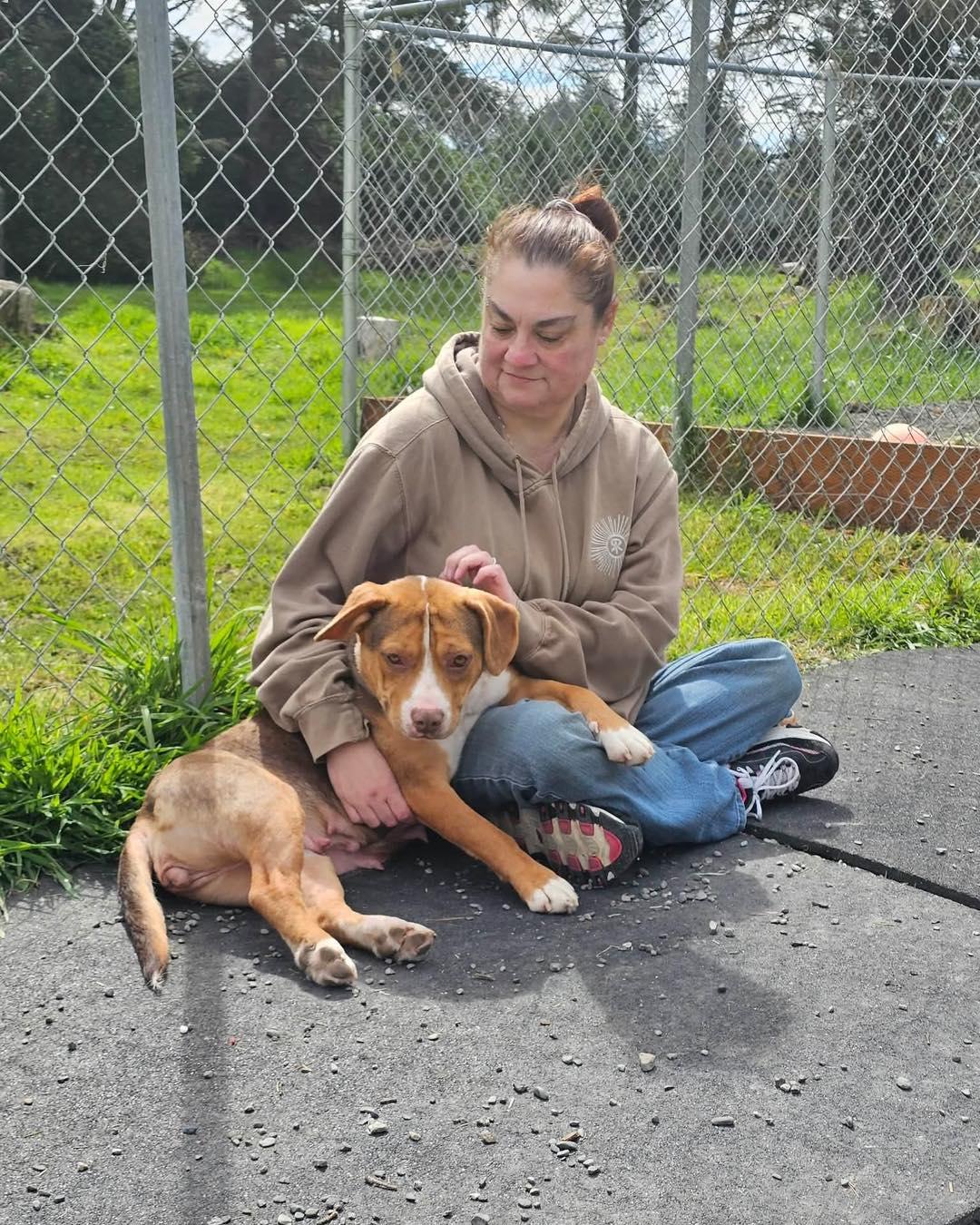 Enlarge Nona, an adopted mixed breed in Crescent city, CA image 2/5