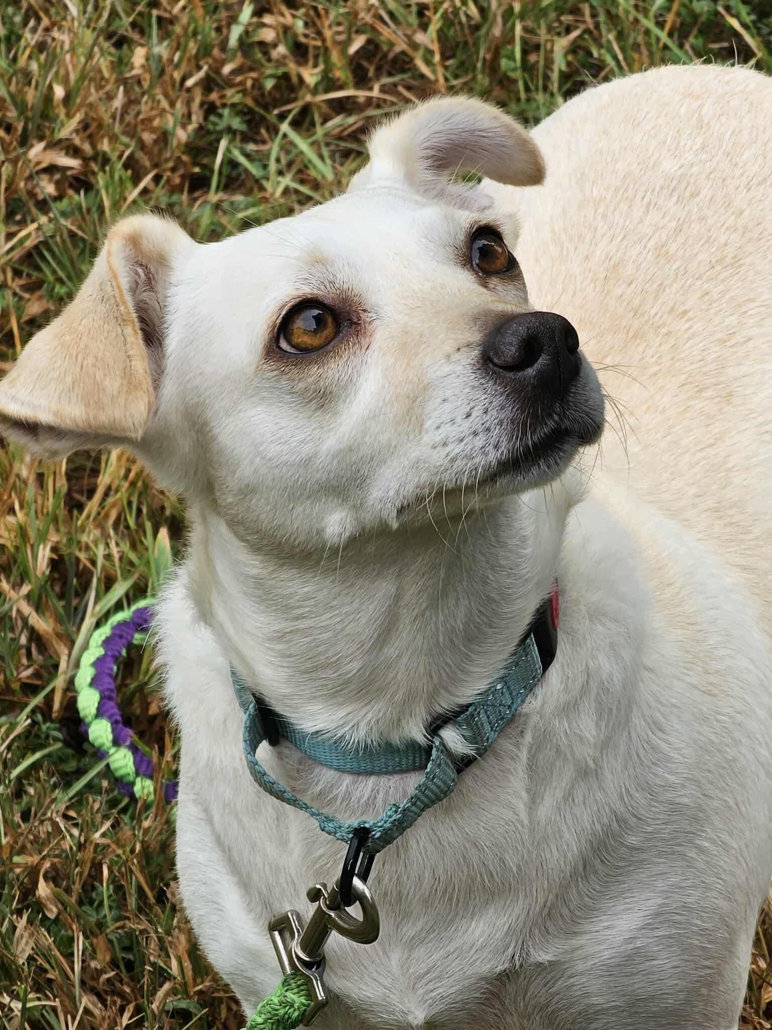 Little Faith (20251101-02) — thumbnail 3