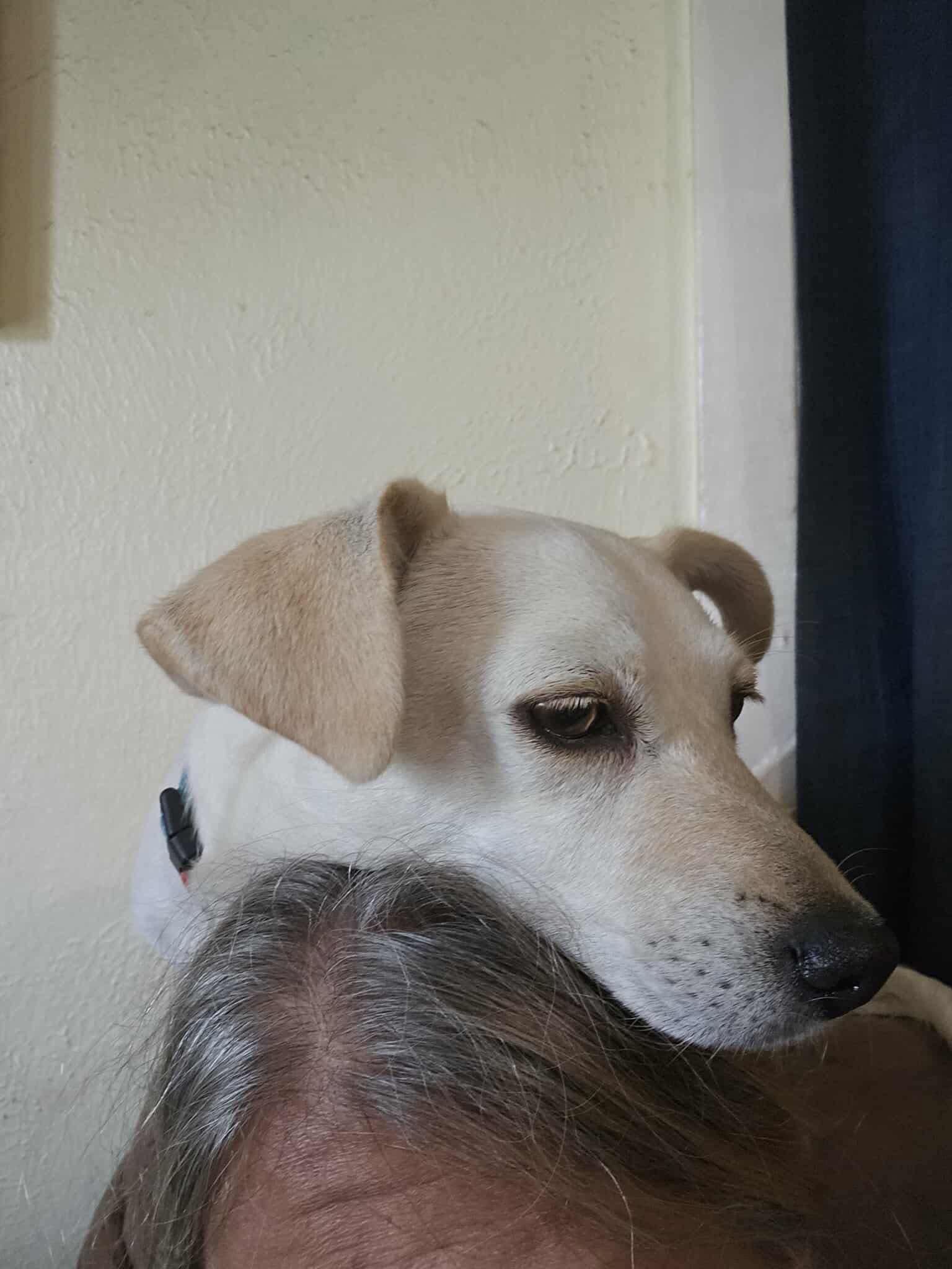 Little Faith (20251101-02) — thumbnail 4